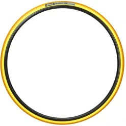 Saris Pneus Vélo De Route Pneu Pour Home Trainer -Pneus VTT Soldes 2022 saris trainer tyre 3